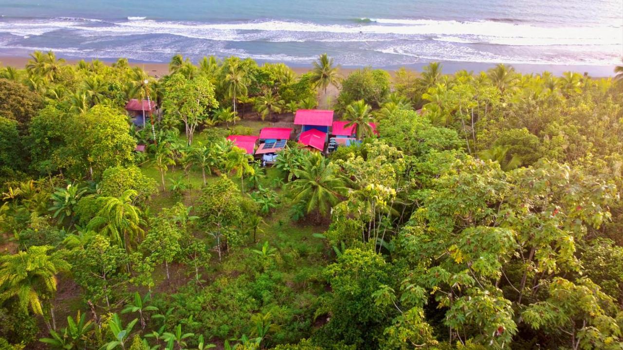 Tortuga Bay Eco Hotel El Valle  Exterior photo