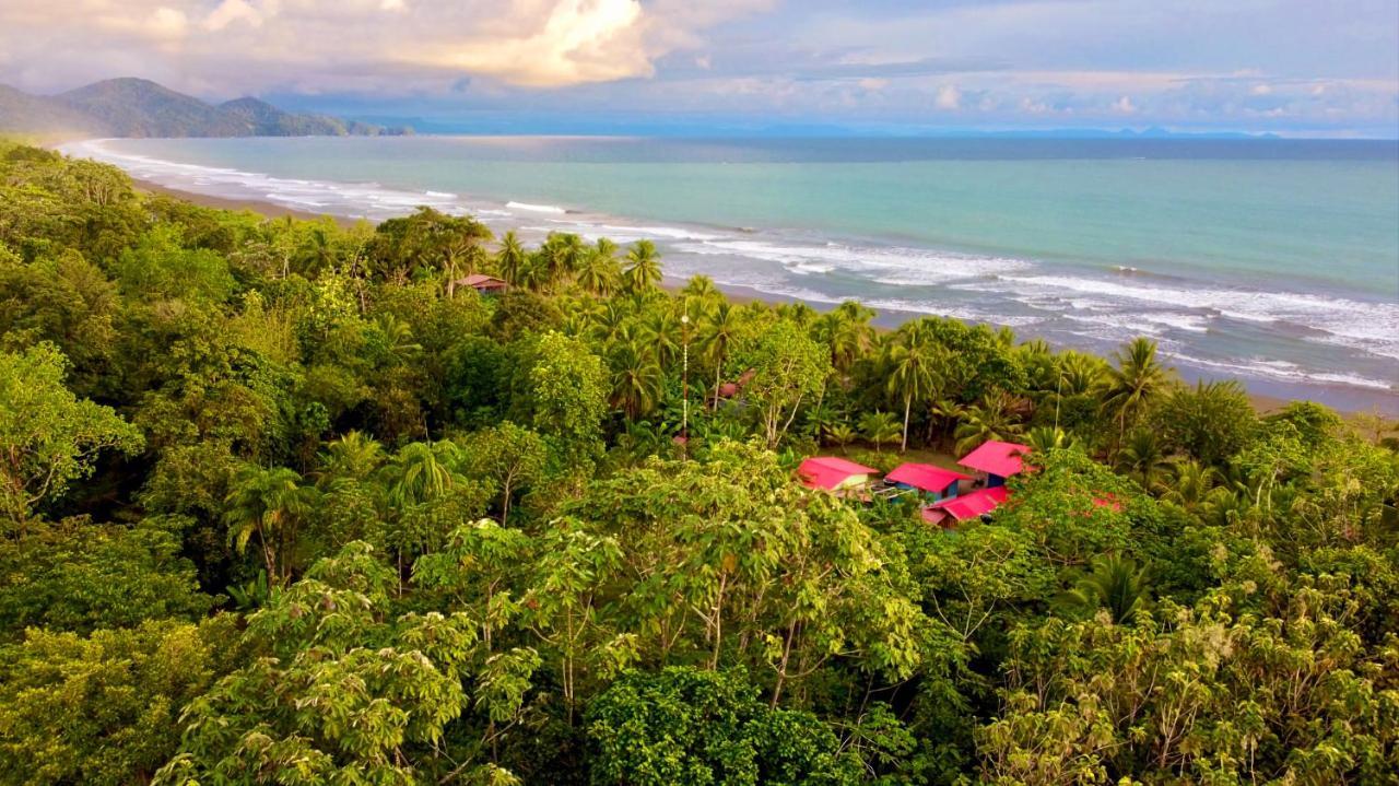 Tortuga Bay Eco Hotel El Valle  Exterior photo